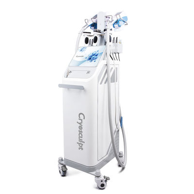 kupować 360° Kryolipoliza Tłuszcz zamrażanie CoolSculpting ciało odchudzanie Maszyna odchudzania produkcja online